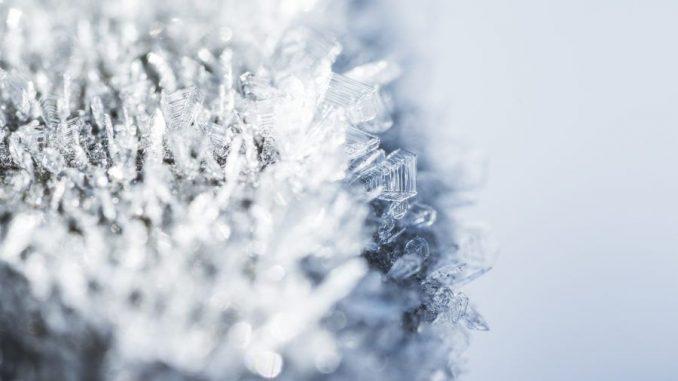 morning-hoar-frost-frozen-snowflakes-close-up-picjumbo-com