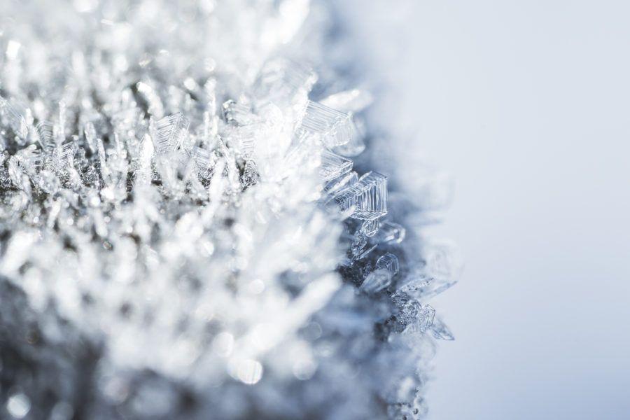 morning-hoar-frost-frozen-snowflakes-close-up-picjumbo-com