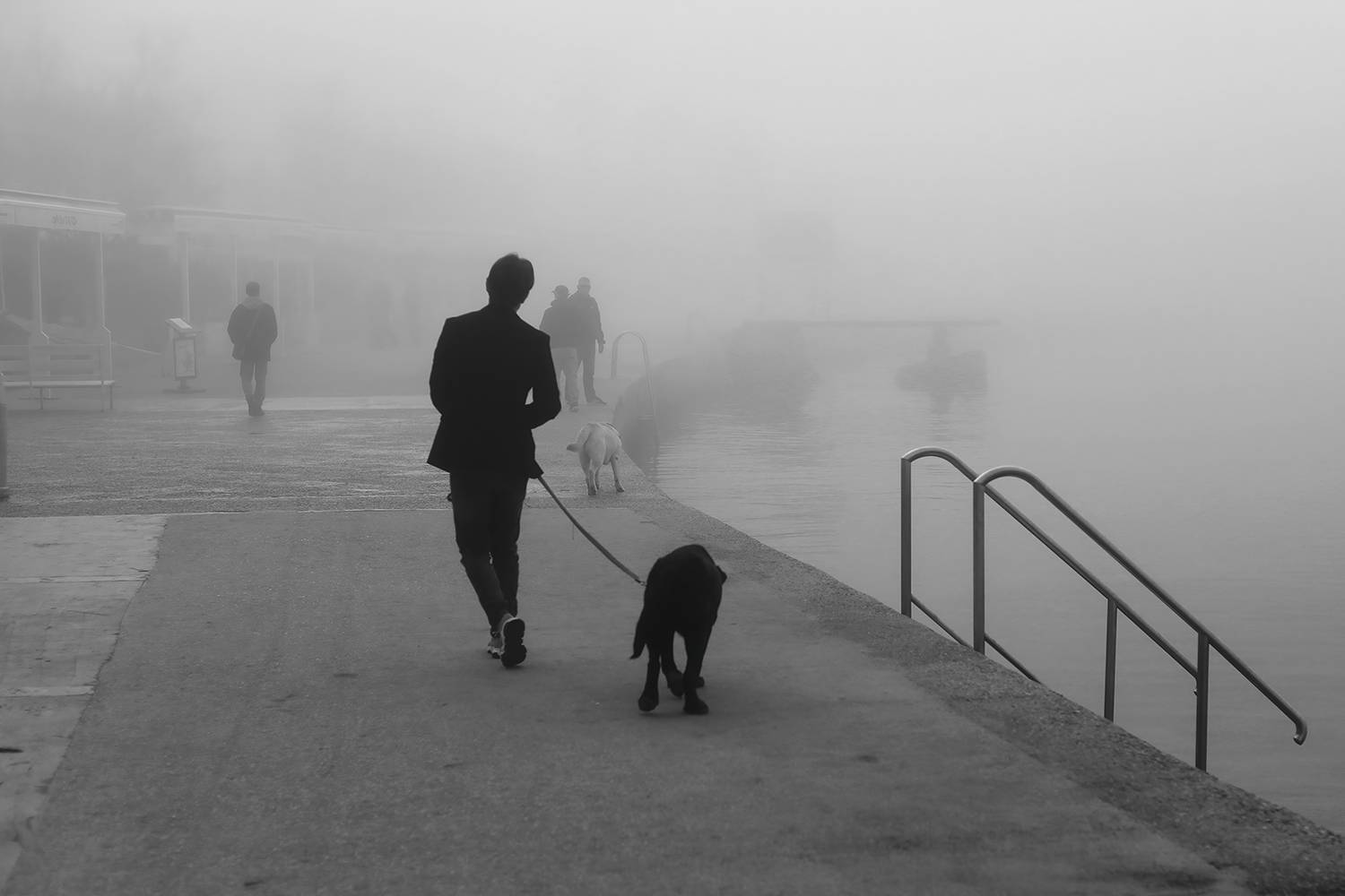 Brigita-Ercegovic-Dog-walker-in-the-mist