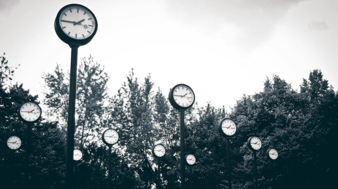 gray scale photography of clock near trees