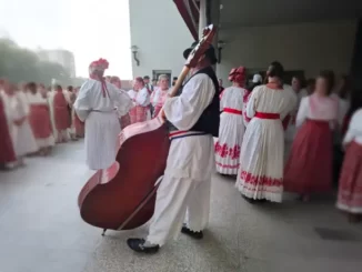 Članovi folklornog društva u narodnim nošnjama, u prvom planu svirač kontrabasa